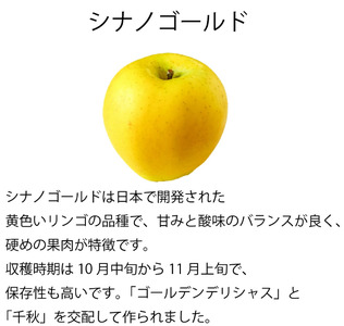 【先行受付】シナノゴールド 3kg（ 9～12玉 ） 