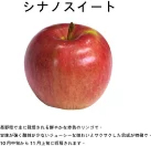【先行受付】【贈答用】シナノスイート　5㎏　（14～18玉）