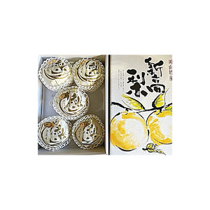 【2026年発送】岡山県産 新高梨 3～6玉 青秀以上 (計約4.0kg)化粧箱入り