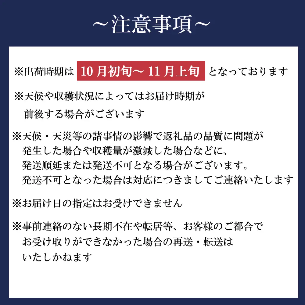 新地町産 りんご 詰め合わせ 訳あり 約3kg 1箱 | 果物 くだもの リンゴ フルーツ 旬 産地直送 農家直送 食品 人気 おすすめ 送料無料 お取り寄せ 福島県 新地町 訳アリ わけあり 葉とらず