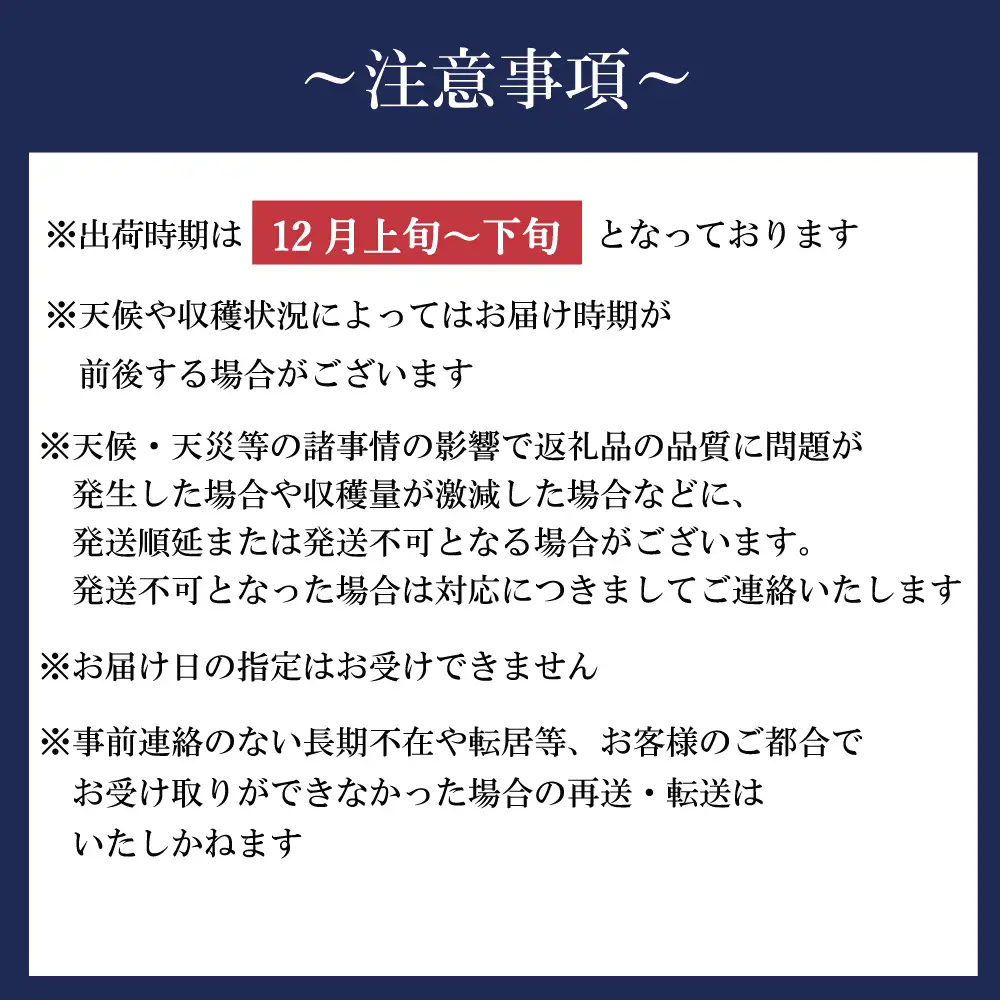 新地町産 りんご サンふじ 訳あり 約3kg 1箱 | 果物 くだもの リンゴ フルーツ 旬 産地直送 農家直送 食品 人気 おすすめ 送料無料 お取り寄せ 福島県 新地町 訳アリ わけあり 葉とらず サンフジ フジ