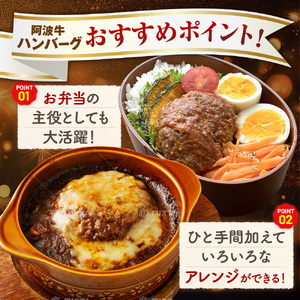 阿波牛 入り ハンバーグ 6個