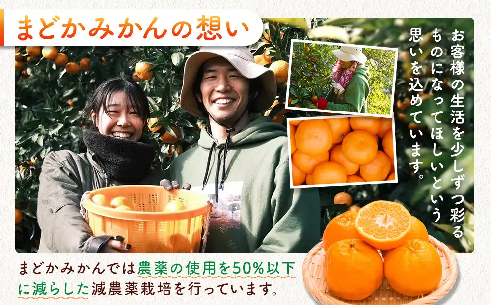 ［先行予約］［訳あり］蔵出しみかん（晩生みかん）2S〜3Sサイズ混合 2kg＋200g（傷み補償分）［2027年1月上旬より発送］