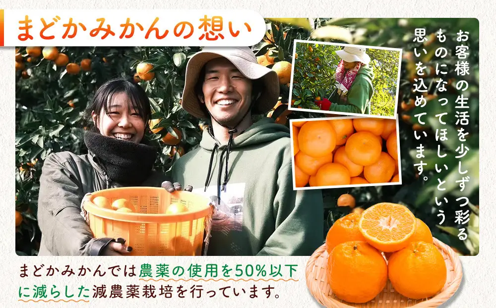 ［先行予約］［訳あり］蔵出しみかん（晩生みかん）2L〜3Lサイズ混合 2kg＋200g（傷み補償分）［2027年1月上旬より発送］