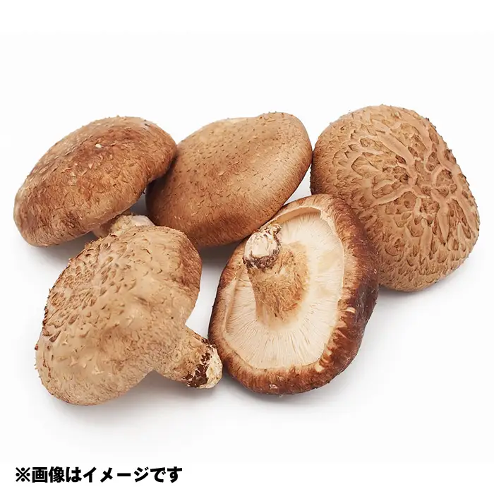 採れたて！新鮮野菜詰め合わせ5種 ／ お野菜 やさい セット 野菜セット しいたけ シイタケ 椎茸 生椎茸 旬 旬野菜 産地直送 新鮮 おまかせ おすすめ 埼玉県 特産 No.503