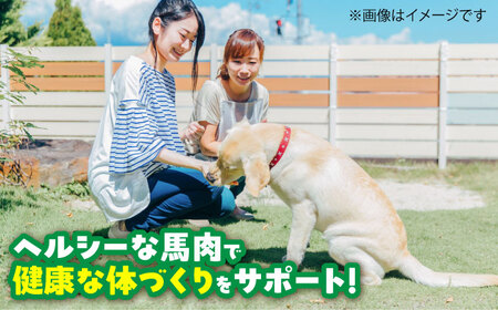【全6回定期便】詰め合わせ 国内加工 ペット用 馬肉 切り落とし 約1kg ペット用 馬刺しジャーキー 約100g BHCY067