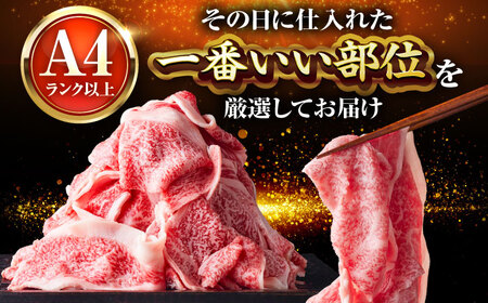 【A4-A5】博多和牛 大判霜降り 贅沢切り落とし 500g (250g×2P) [BGAB109]