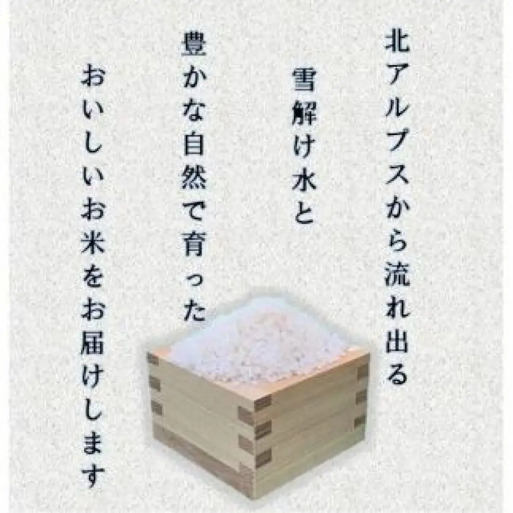 米 コシヒカリ 長野県産 5kg |コシヒカリ 長野 信州