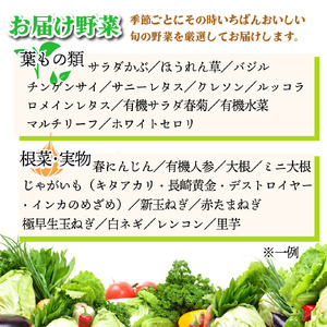野菜セット お試し 4品 野菜