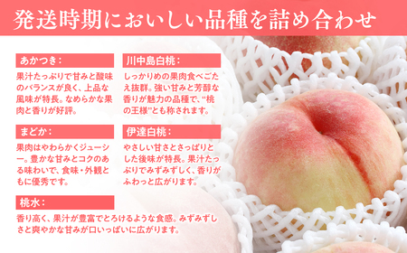 【レビューキャンペーン】【2026年産 先行予約】平川市産桃 品種お任せ 詰め合わせ 約４㎏(12-16玉)[hi-0064-006]
