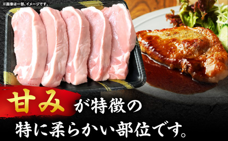 オリーブ豚ロース極厚ステーキ 計1000g【高松市共通返礼品】| 国産 国産豚 オリーブ豚 豚肉 1000g 1kg ブランド豚 ロース 極厚 お肉 豚 冷凍 とんかつ ステーキ 日用 贈答 贈り物 香川県 三木町 |_mk017-007