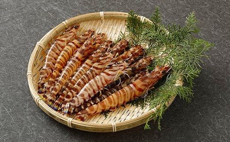 S002-005_旬彩セット(活き車海老・活きあわび・活きサザエ・殻出し生うに・天然塩) / 車エビ 車海老 エビ えび あわび アワビ サザエ うに 雲丹 ウニ