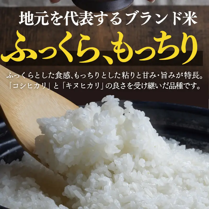 定期便 ≪6ヶ月連続お届け≫ 令和7年産 あきさかり 無洗米 10kg×6回（計60kg） ／ 米 10キロ 福井県産 ブランド米 あきさかり ご飯 白米 新鮮 高品質米 [aw121-l002]