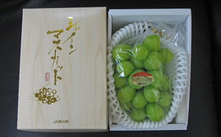 【 小豆島 】島育ち！ハウスシャインマスカット　1房化粧箱入り 600g以上 果物類 ぶどう ブドウ フルーツ 果物 