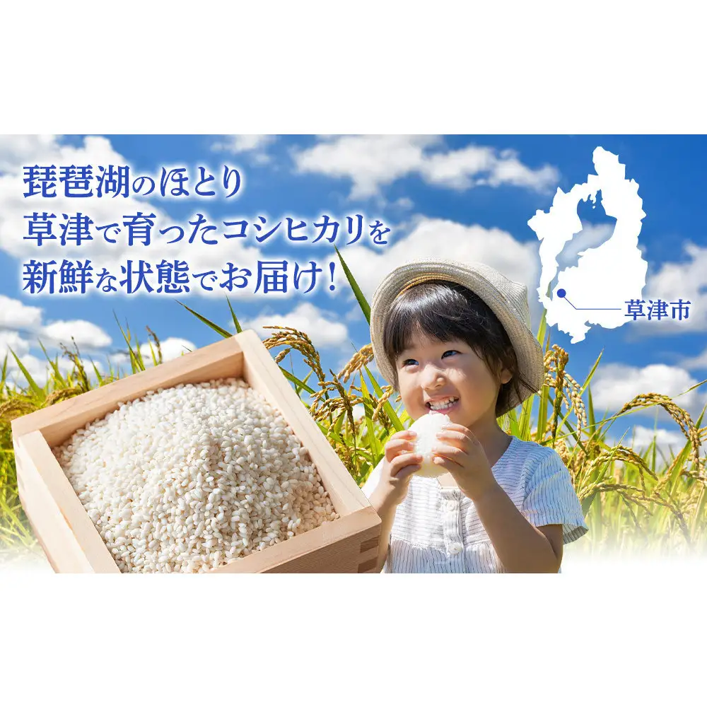 令和7年産　近江米コシヒカリ（玄米）5kg×3　計15kg 