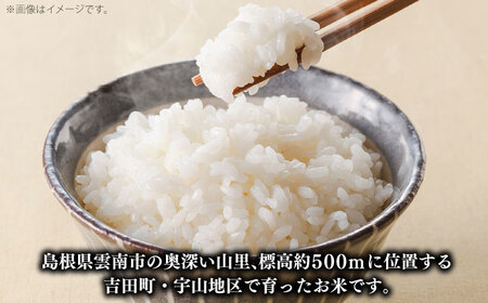 無洗米 つや姫 雲南市吉田町産 5kg[AIDB092] 無洗