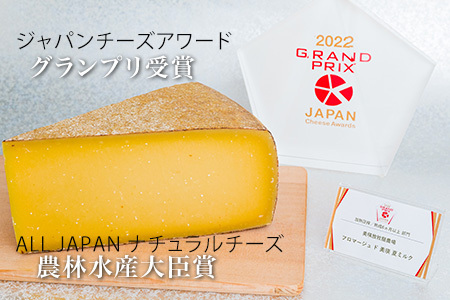 チーズ グランプリ受賞 定期便 100g×10個 6ヶ月  北海道チーズ 本格的ハードチーズ [270-01]