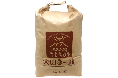 大山の一粒 白米 10kg【米 10kg 10キロ こめ コメ 先行予約 お米 白米 精米 こしひかり コシヒカリ ごはん ライス kome 国産 お取り寄せ 鳥取県 大山町】