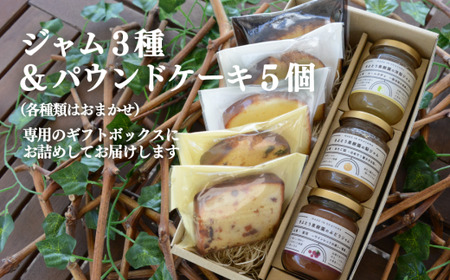 【2026年9月以降順次発送】果樹園から届く果実ジャム3種&パウンドケーキ5個 (岡山県産) 【KF-K007-03】