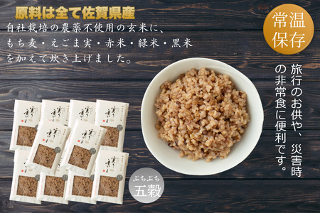 「実り咲かす」ぷちぷち玄米五穀ごはん（10P）：B205-015