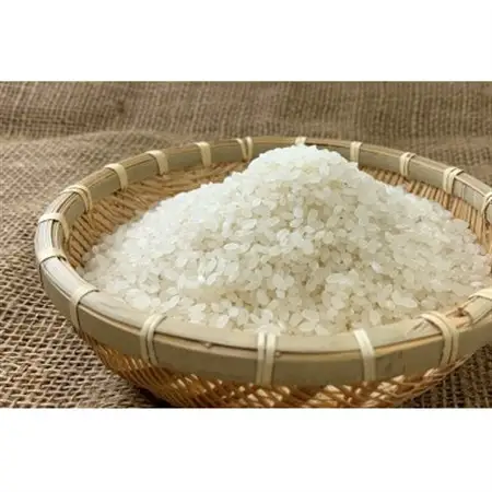 令和の大嘗祭供納米品種「とちぎの星」 精米　5kg【1679439】