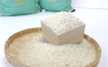 FKP9-680 【令和7年度産】人吉球磨産白米 ひのひかり 10kg 新米 白米 精米 ふっくら 国産米 おすすめ 農家