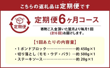 【6カ月定期便】 【ブロック ＆ 切り落とし】 おおいた和牛 1ポンドブロック 約450g ・ 切り落とし 約500g 約950g×6回 計約5.7kg ステーキソース付