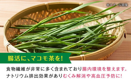マコモ茶 100g 五島市/五島列島自然のめぐみ[PGM011]