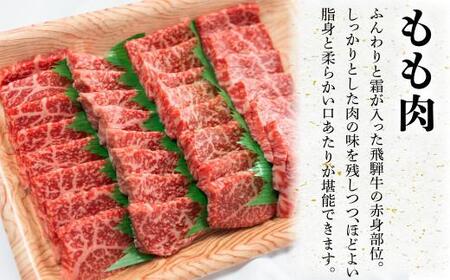 A5等級 飛騨牛 もも 焼肉用 500g 飛騨牛 肉の匠家 BV010