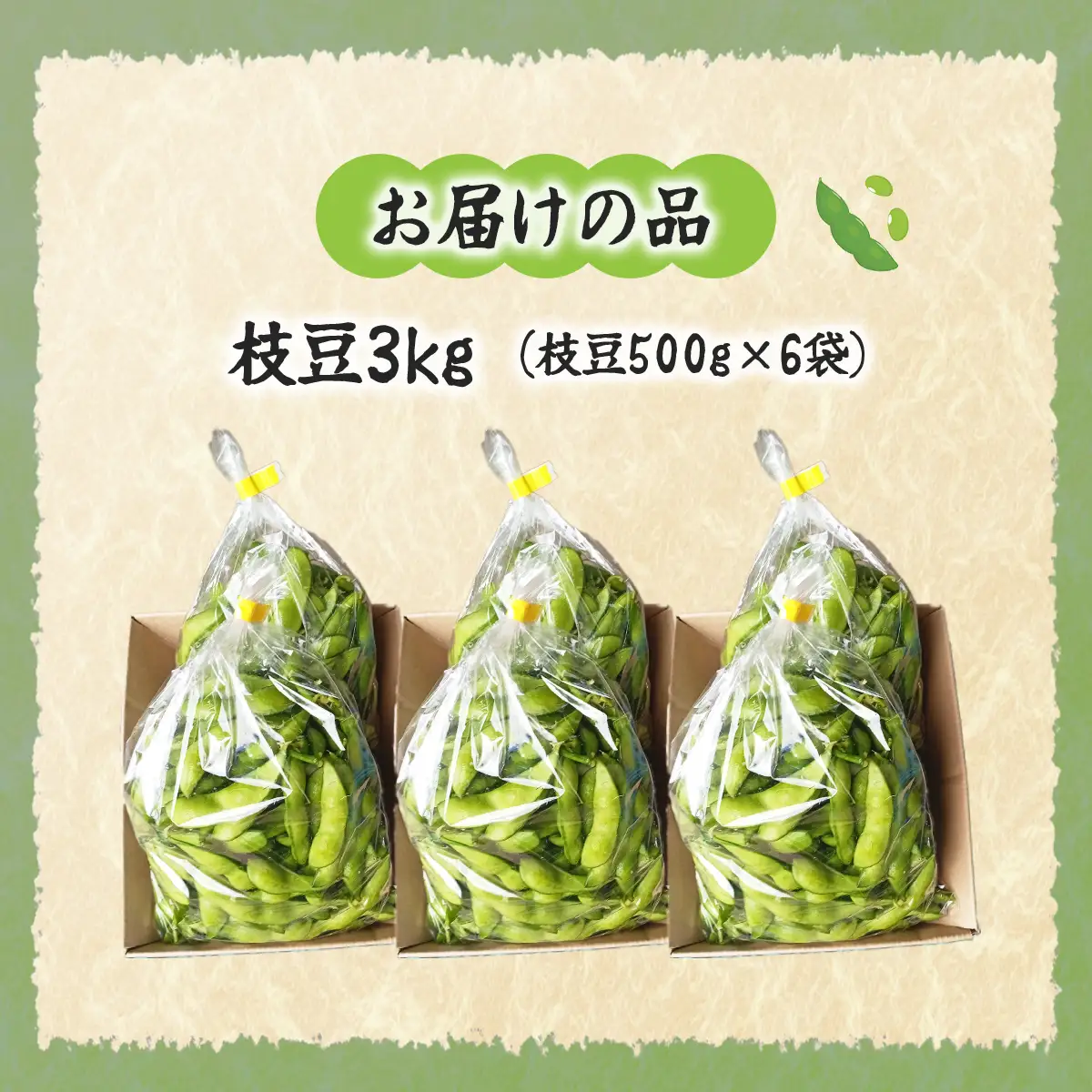 【先行予約】【2026年8月上旬より順次発送】枝豆3kg NAZ022