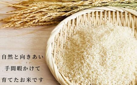 《令和7年産》【定期便6ヶ月】春の米　精米　3kg ／ 米 お米 こめ コメ ごはん 無農薬 農薬不使用 春の米 精米 白米 令和7年産 3kg 定期便 千葉県 東庄町 春子ファーム 産地直送 産直 送料無料