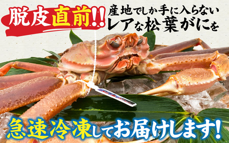 【訳あり】【数量限定】希少な松葉がに ボイル 冷凍 1杯 500g～600g 産地でしか手に入らない脱皮直前のレアな松葉がに ソフト蟹