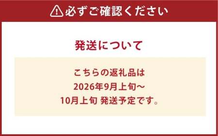 シャインマスカット晴王 1房（700g以上） マスカット ぶどう 葡萄 ブドウ 晴王 果物 フルーツ 岡山県 倉敷市【2026年9月上旬～10月上旬まで順次発送予定】