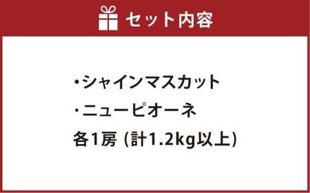 種無しぶどう詰合せ2房（合計1.2kg以上） シャインマスカット ニューピオーネ ぶどう 葡萄 ブドウ 果物 フルーツ 詰め合わせ セット 岡山県 倉敷市【2026年9月上旬～10月上旬まで順次発送予定】