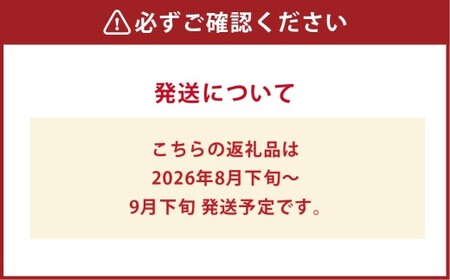 マスカット･オブ･アレキサンドリア 2～3房（合計1.0kg以上） マスカット ぶどう 葡萄 ブドウ 果物 フルーツ 岡山県 倉敷市【2026年8月下旬～9月下旬まで順次発送予定】