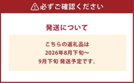 ぶどう 2026年 先行予約 ニューピオーネ 1房 600g以上 葡萄 ブドウ 果物 フルーツ 岡山県 倉敷市【2026年8月下旬～9月下旬まで順次発送予定】