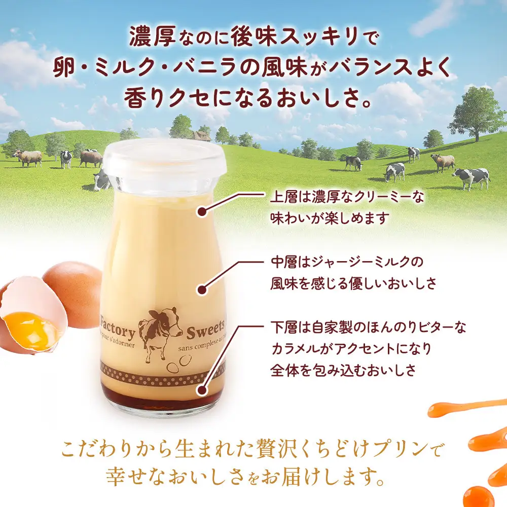 贅沢くちどけプリン6本セット
