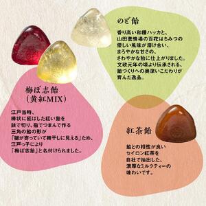 【榮太樓】 榮太樓飴　10本入 飴ポーチ（紺）付 | あめ