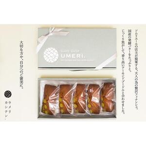 OTONAフィナンシェ    ５個入