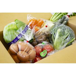 【6か月定期便】東京・八王子産　産直朝どれ新鮮野菜＆卵の詰め合わせ