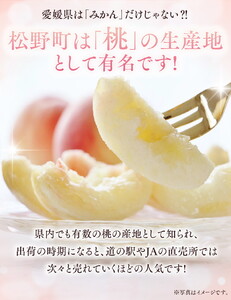 【綱崎さんの桃】完熟桃のシロップ漬け 1.5kg ※離島への配送不可 | スイーツ お菓子 バレンタインデー ホワイトデー 完熟 国産 桃 お中元 お歳暮 贈り物 贈答用 グルメ ギフト