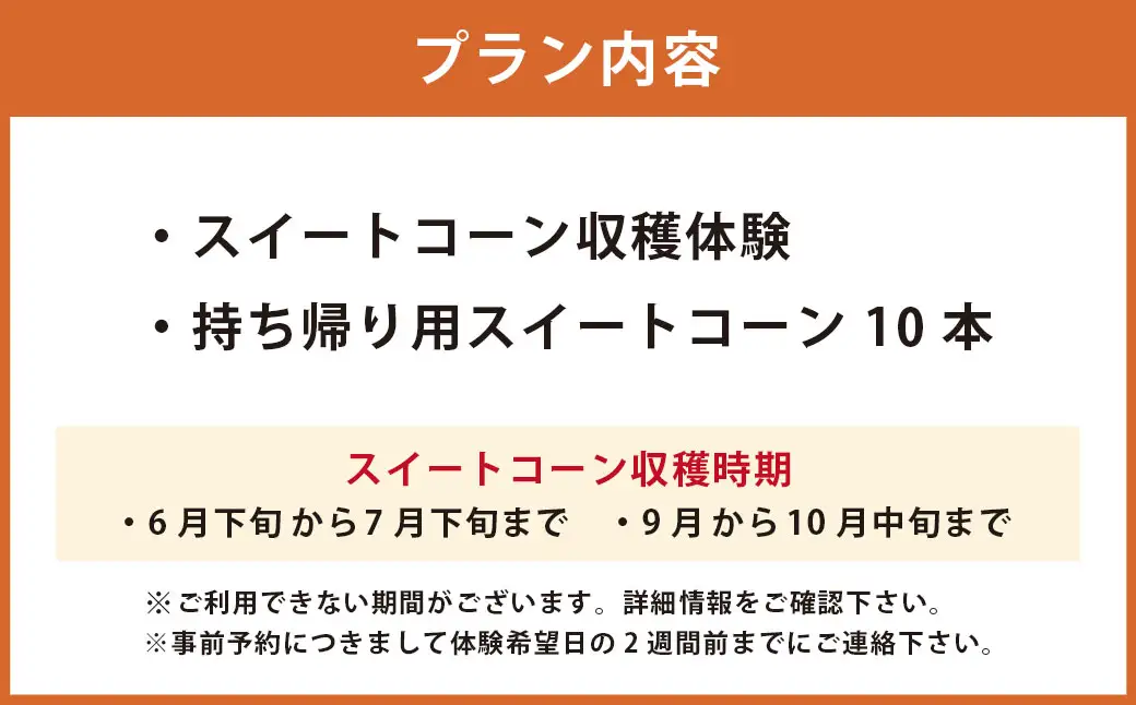 F4 アッキーファーム スイートコーン収穫体験 （スイートコーン10本込み） とうもろこし トウモロコシ 野菜 やさい 農作物 農業 体験 チケット 商品券 施設利用券 福岡県産 国産 福岡県 みやま市