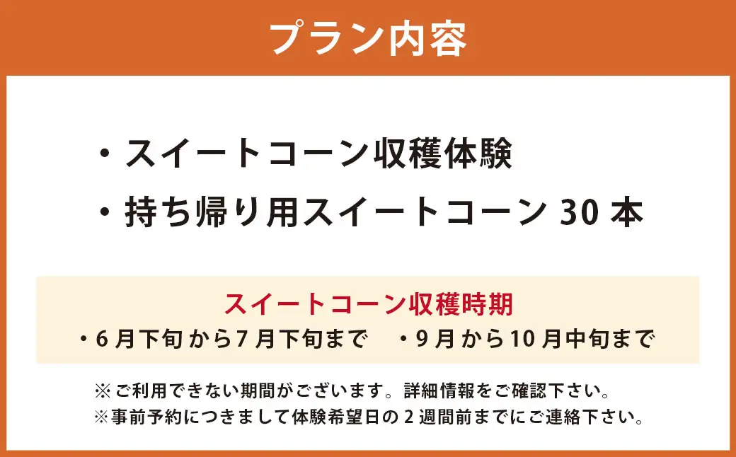 F6 アッキーファーム スイートコーン収穫体験 （スイートコーン30本込み） とうもろこし トウモロコシ 野菜 やさい 農作物 農業 体験 チケット 商品券 施設利用券 福岡県産 国産 福岡県 みやま市