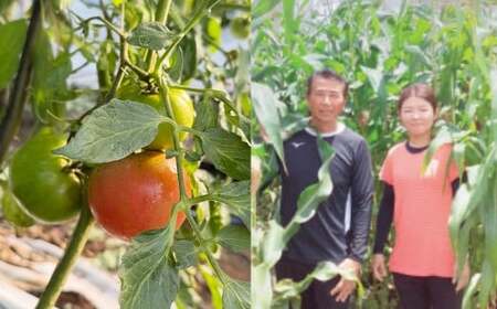 A322 アッキーファームの旬の野菜詰合せ福袋 （野菜3種） 詰め合わせ セット 季節 旬 お楽しみ 野菜 やさい なす トマト ミニトマト ピーマン ブロッコリー とうもろこし レタス カリフラワー 冷蔵 福岡県産 国産 福岡県 みやま市