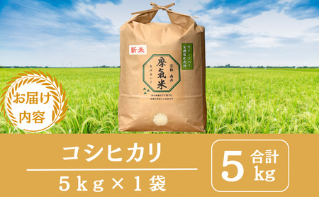 【コシヒカリ】【京都】令和8年産 有機堆肥栽培米 こしひかり 摩氣米 5kg | お米 米 コメ 精米 白米