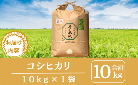 【コシヒカリ】【京都】令和8年産 有機堆肥栽培米 こしひかり 摩氣米 10kg | お米 米 コメ 精米 白米
