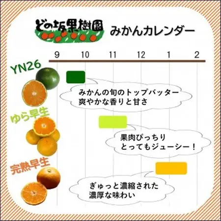 【発送月固定定期便】みかん好きに食べてほしい!旬を味わう、おいしい3種のみかん定期便　各5kg全3回【配送不可地域：離島・北海道・沖縄県】【4076072】
