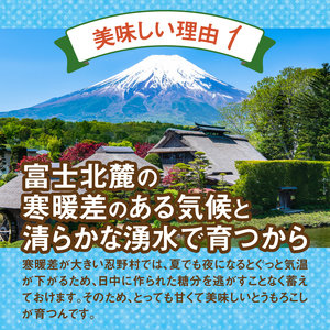 【2026年先行予約】富士北麓忍野村の気候、水、自然で作られた朝採りトウモロコシ（ゴールドラッシュ・ホワイトショコラ）詰め合わせセット（約2.5kg）