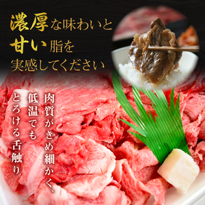 【6ヶ月定期便】茨城最高のブランド牛【常陸牛切り落とし】約600g｜肉 お肉 牛肉 常陸牛 切り落とし ブランド牛 定期便 お肉定期便 茨城県 行方市(J-15)