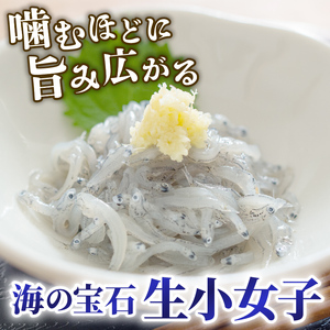 小女子 こうなご 刺身 500g ＼ 刺身 ／